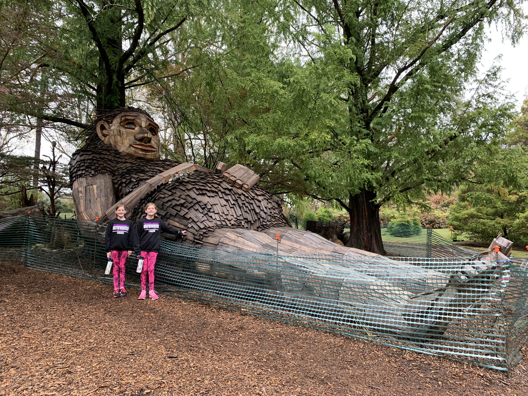 Visit Forest Giants at Bernheim Forest in Kentucky!